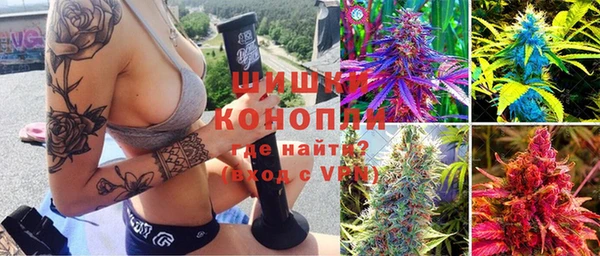 mdpv Белокуриха