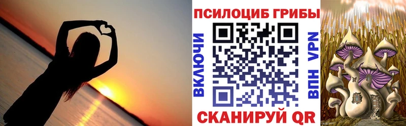 наркотики omg вход Псилоцибиновые грибы MAGIC MUSHROOMS Богородицк