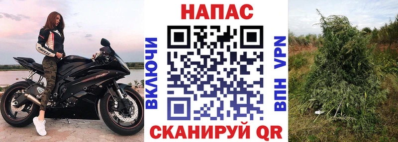 даркнет сайт  Богородицк  Конопля ГИДРОПОН 